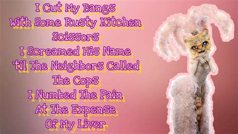 Kitty Performs Mamas Broken Heart By Miranda Lambert Lyrics The