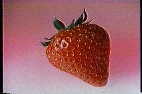 strawberry gifs find share  giphy