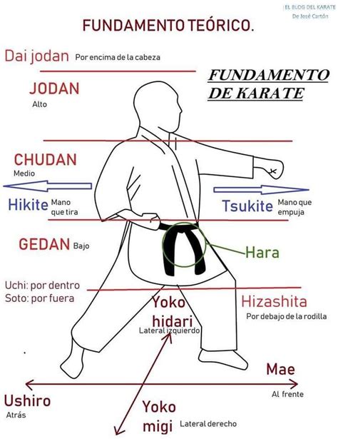 The Basic Instructions For How To Do An Aikido Karate Kick With