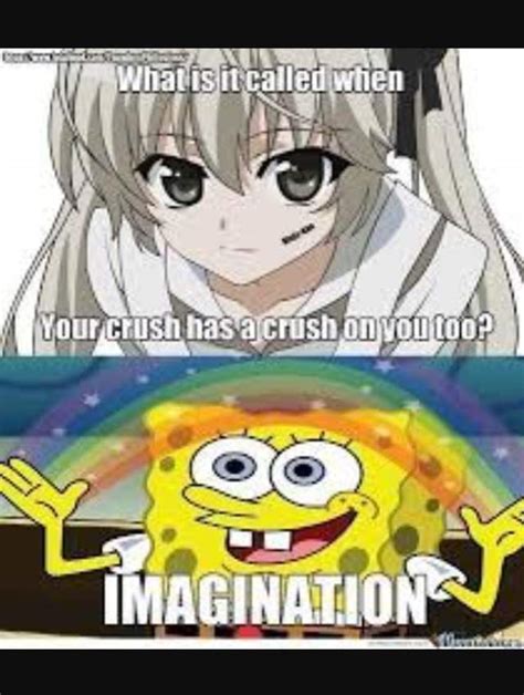 Memes Anime Amino