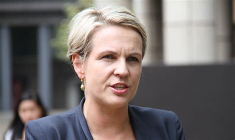 Tanya Plibersek We Would Give Spies More Tools To Fight Domestic