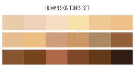 Creative Vector Illustration Of Human Skin Tone Color Palette Set