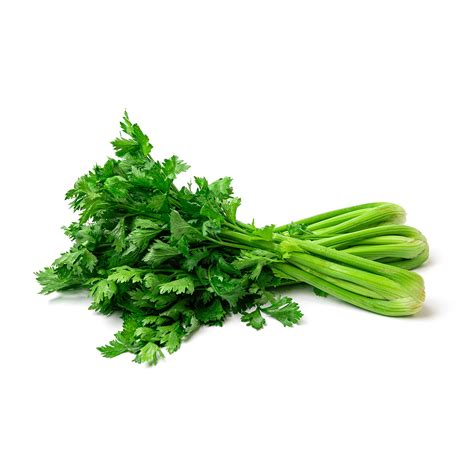 Celery | Shop Fresh Celery at Doorstep Produce