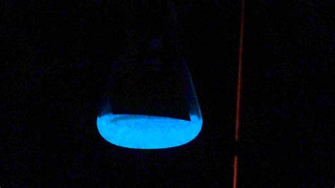 Glowing Bioluminescent Bacteria In Culture Youtube