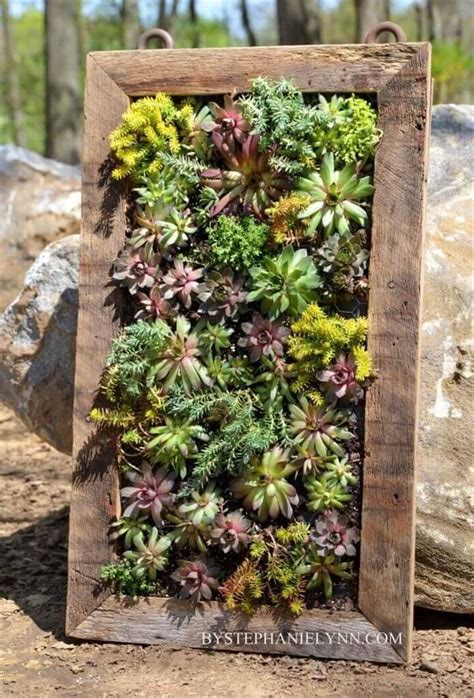 Diy Succulent Projects 60 Ways To Display Succulents In Your Home ⋆