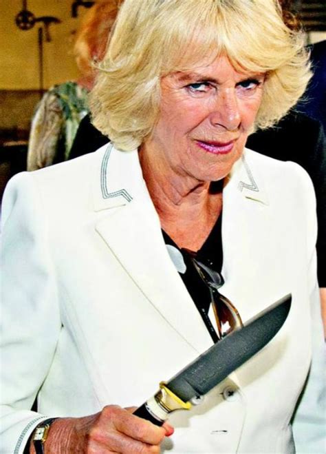 Camilla, duchess of cornwall (born camilla rosemary shand , later parker bowles ; Scaryduck: Not Scary. Not a Duck: Guilty pleasures ...