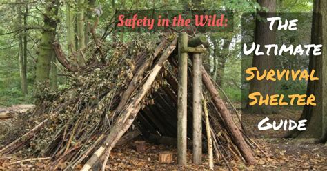 Safety In The Wild The Ultimate Survival Shelter Guide Prepper Universe