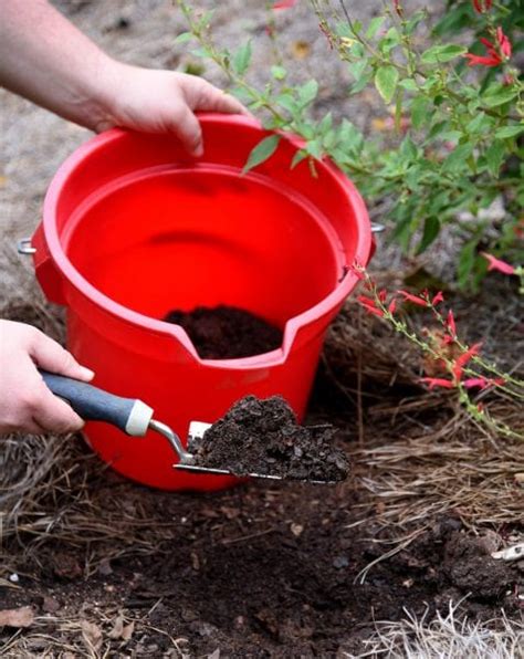 Home Soil Testing Taking A Sample Alabama Cooperative Extension System