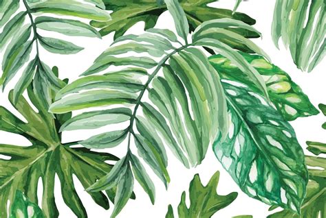 Watercolor Leaves Desktop Wallpapers Top Free Watercolor Leaves