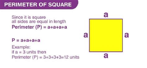 Perimeter Of A Square Formula ⭐️⭐️⭐️⭐️⭐️