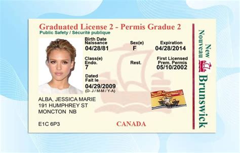 Canada Brunswick Driver License Template Psd Photoshop File