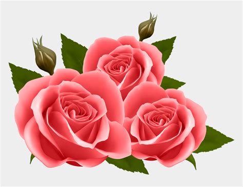 Red Roses Png Clip Art Image Purple Rose Transparent