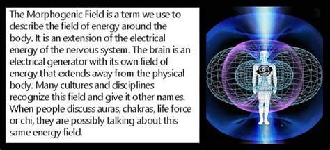 Morphogenic Field By Theorionmage Energy Body Spirituality Book