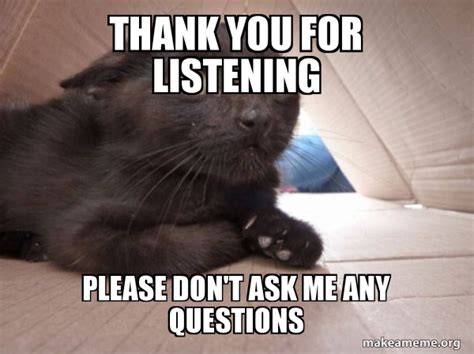 Thank You For Listening Please Dont Ask Me Any Questions Schitzo Cat