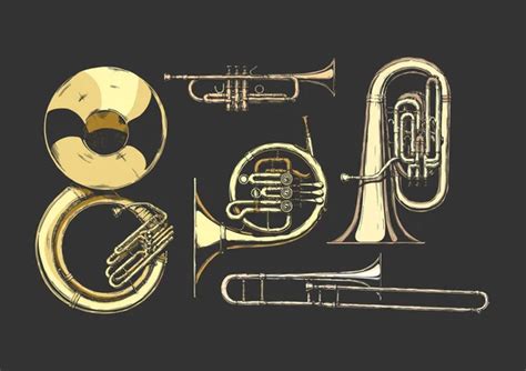 Vector Hand Drawn Set Brass Musical Instruments Sousaphone Trumpet