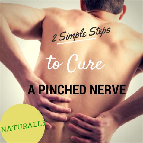 Pinched Nerves Lower Back Austra Health