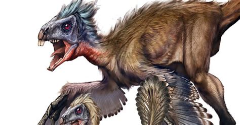 Feathered Dinosaurs Molted Like Birds Wired