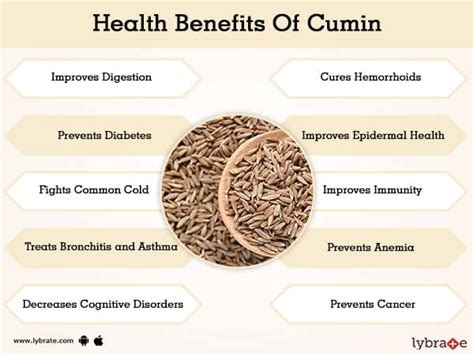 Benefits Of Cumin And Its Side Effects Lybrate
