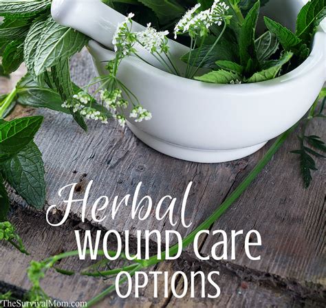 Herbal Wound Care Options Survival Mom