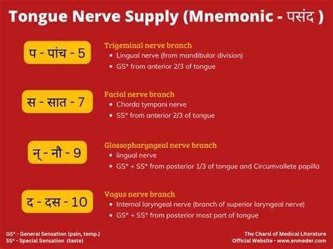 Tongue Nerve Supply Tcml The Charsi Of Medical Literature