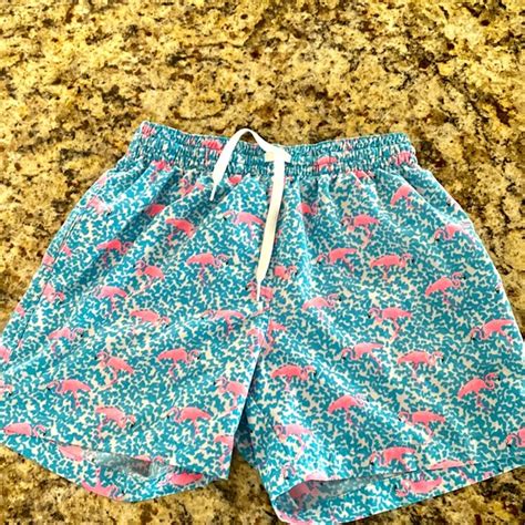 Chubbies Swim Sm 55 Inch Inseam Chubbies Shorts With Flamingo Pattern Poshmark