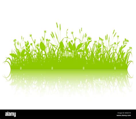 Green Grass Border Vector Stock Vector Image And Art Alamy