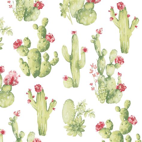 If you see some cactus hd wallpaper you'd like to use, just click on the image to download to your desktop or mobile devices. Norwall Cactus Vinyl Roll Wallpaper (Covers 55 sq. ft ...