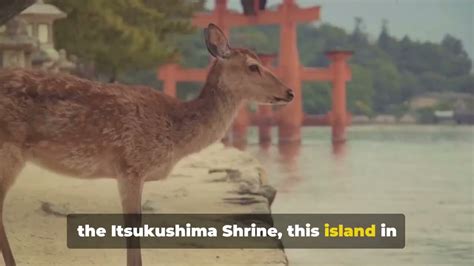 Japan Unveiled: Top Beautiful Spots To Explore - La Vie Zine