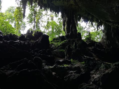 Niah National Park Explore Gua Niah Niah Caves Meowtainpeople