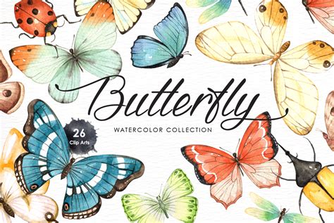 Butterfly Watercolor Collection By Everysunsun Thehungryjpeg