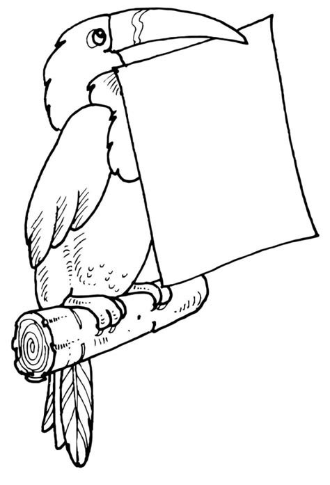 The toucan is a fairly large bird with a large beak, which in some individuals is longer than the body. Toucan Holding Letter Coloring Page - Free Printable ...