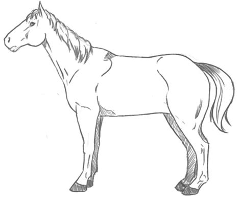 Tutorial con un dibujo de un caballo. Como dibujar caballo de perfil,entero y de frente - Taringa!