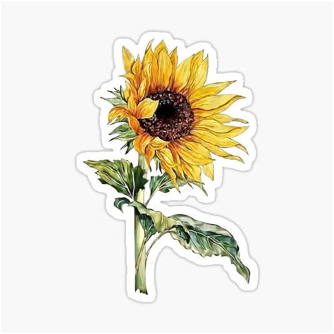 Sunflower Sticker By Firstlove Aesthetic Stickers Floral Stickers