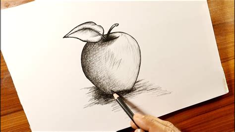 How To Draw Apple Pencil Sketch Drawing An Apple Apple Easy Drawing