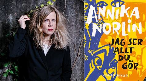 Recension Ömsinta Berättelser öppnar Upp För Ljuset I Annika Norlins Debut Dagens Etc