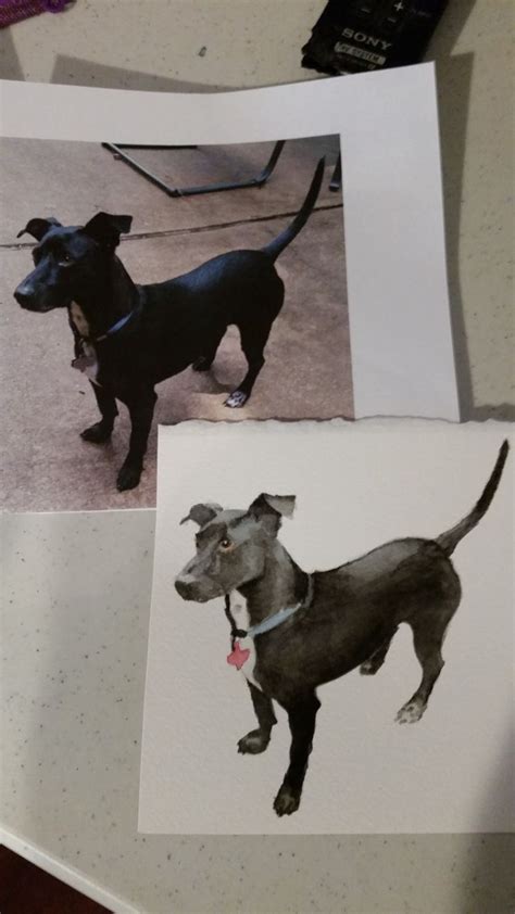 Pin By Allison Rule On Watercolor Terrier Boston Terrier Animals