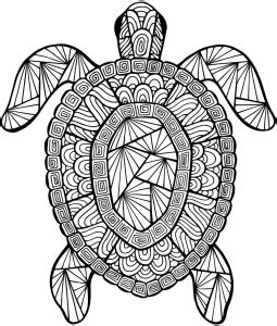 Learning friends turtle coloring printable turtle coloring pages. Detailed Sea Turtle Advanced Coloring Page | A to Z ...