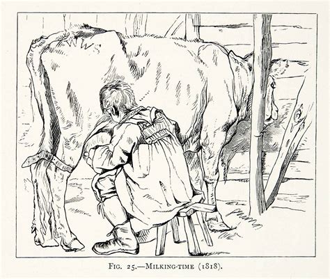 1877 wood engraving edwin landseer 1818 art milking cows agriculture b period paper historic