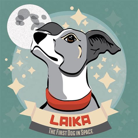 Laika The First Dog In Space On Behance Soviet Space Dogs Dog