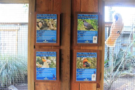 Signage For Walk Through Aviary Zoochat