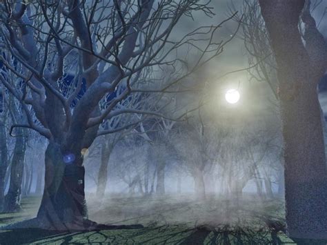 Free Download Haunted Forest Is A Piece Of Digital Artwork By Carlotta