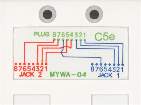 Insert the wires carefully into the rj45 jack. Guide to Using a CAT5e Splitter | Computer Cable Store