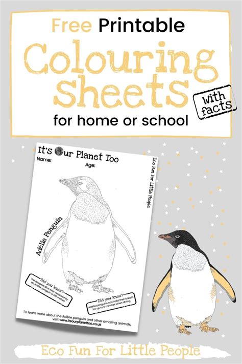 Do Your Children Love Animals Check Out This Free Adelie Penguin