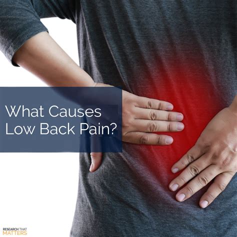 What Causes Low Back Pain Huntsville Madison Alabama Chiropractor