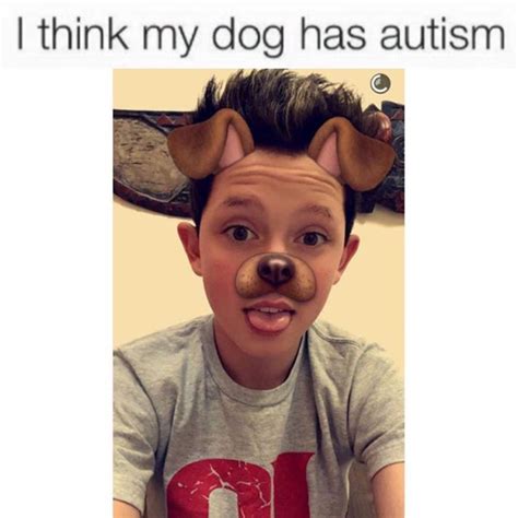 I Think My Dog Has Autism Dank Memes Amino