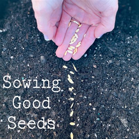 Sowing Good Seeds Podcast On Spotify