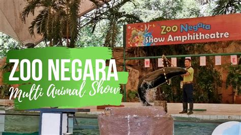 Zoo Negara Kuala Lumpur Multi Animal Show Animal Show Amphitheater
