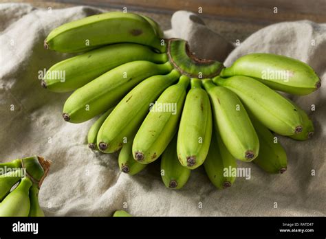 Raw Organic Unripe Green Baby Bananas In A Bunch Stock Photo Alamy