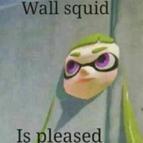 Wall Squid Is Pleased Splatoon Memes Splatoon Splatoon Comics