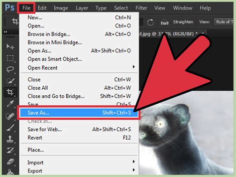 Undo up to 1000 states in photoshop. How to Polarize an Image Using Photoshop: 13 Steps (with ...